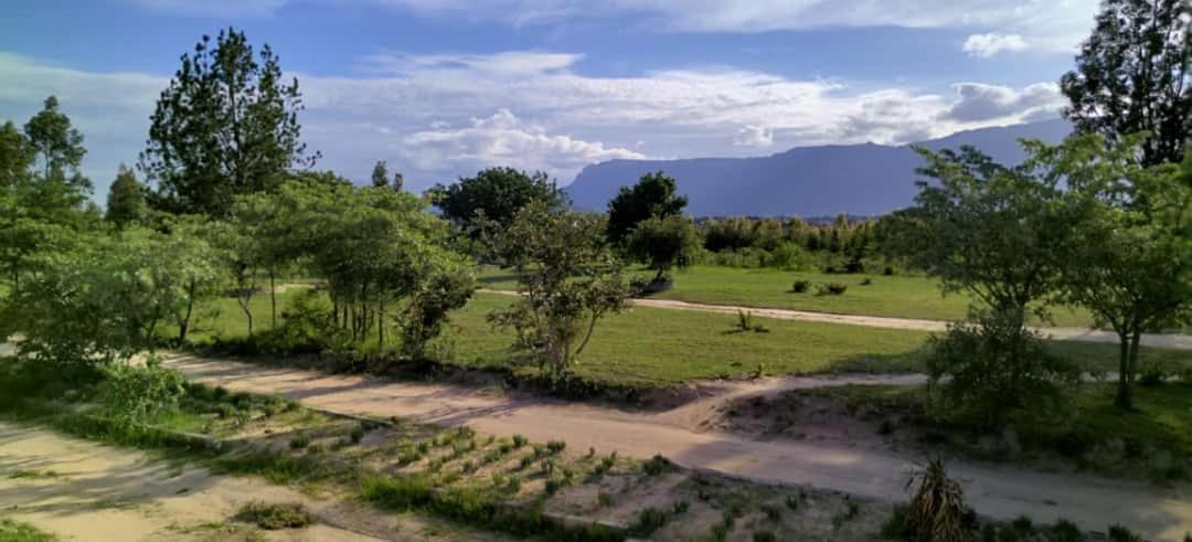 Moholoholo Lodge Acornhoek 외부 사진