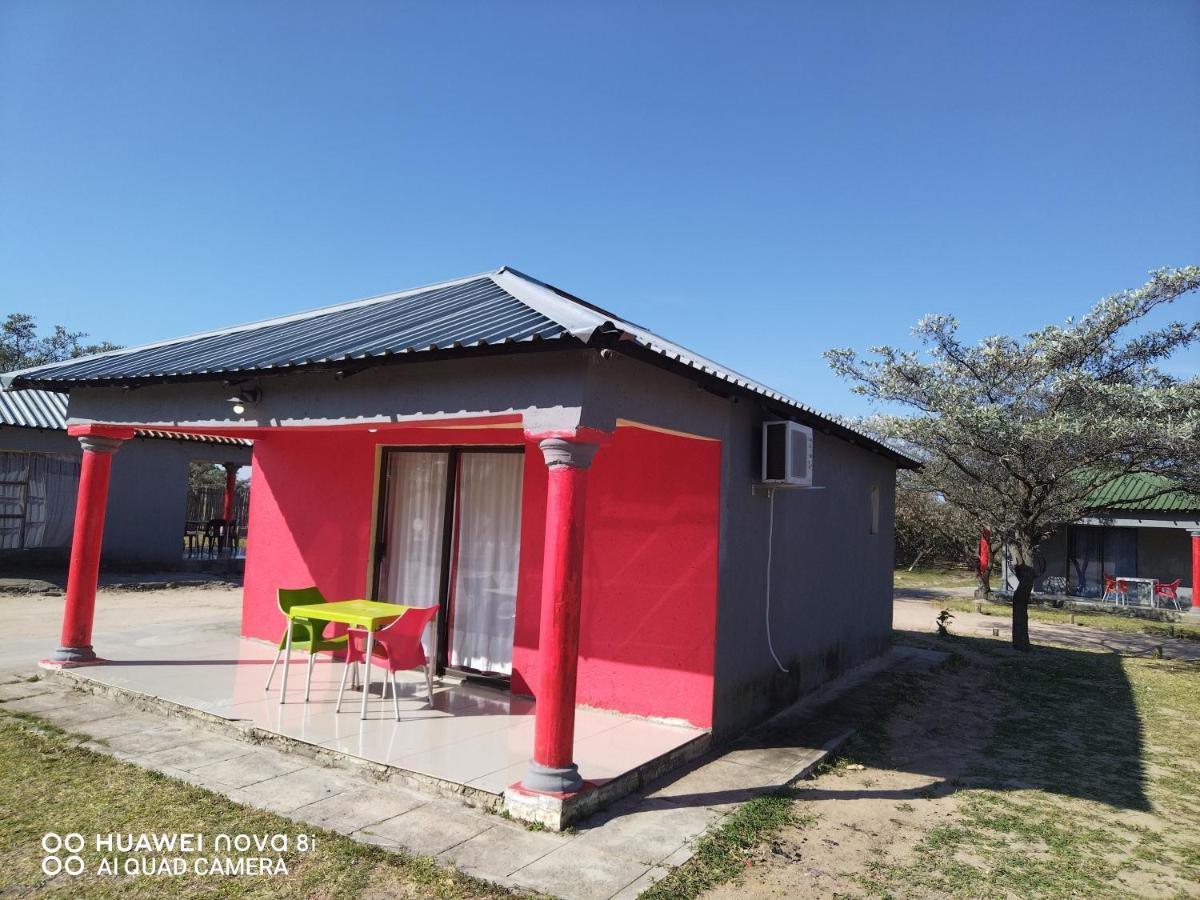 Moholoholo Lodge Acornhoek 외부 사진